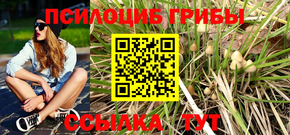 Галлюциногенные грибы Magic Shrooms  Вход с VPN  Светлоград 