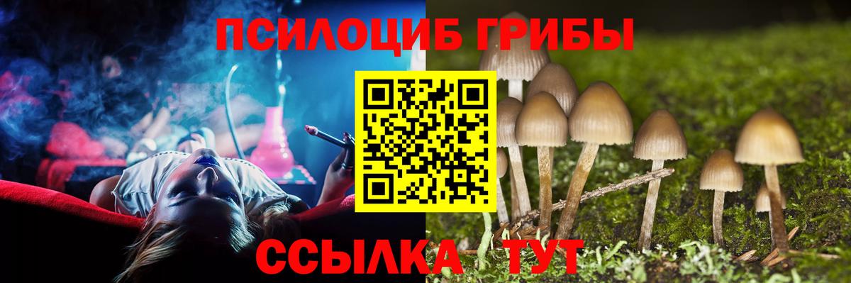 Галлюциногенные грибы Magic Shrooms Светлоград